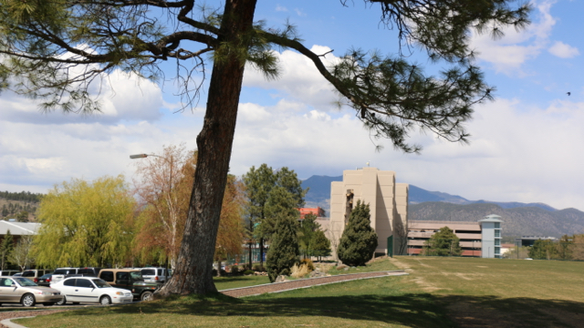 Sustainable lawn on campus