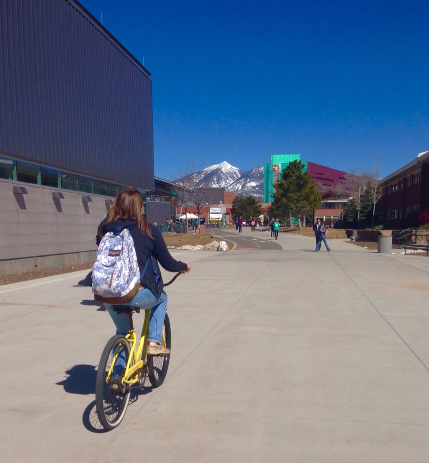 NAU Yellow Bike