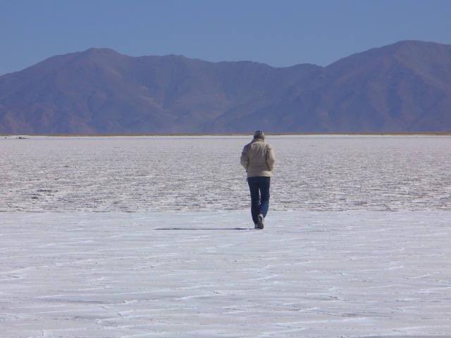 Argentina Salt Flats