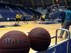 Lumberjacks court