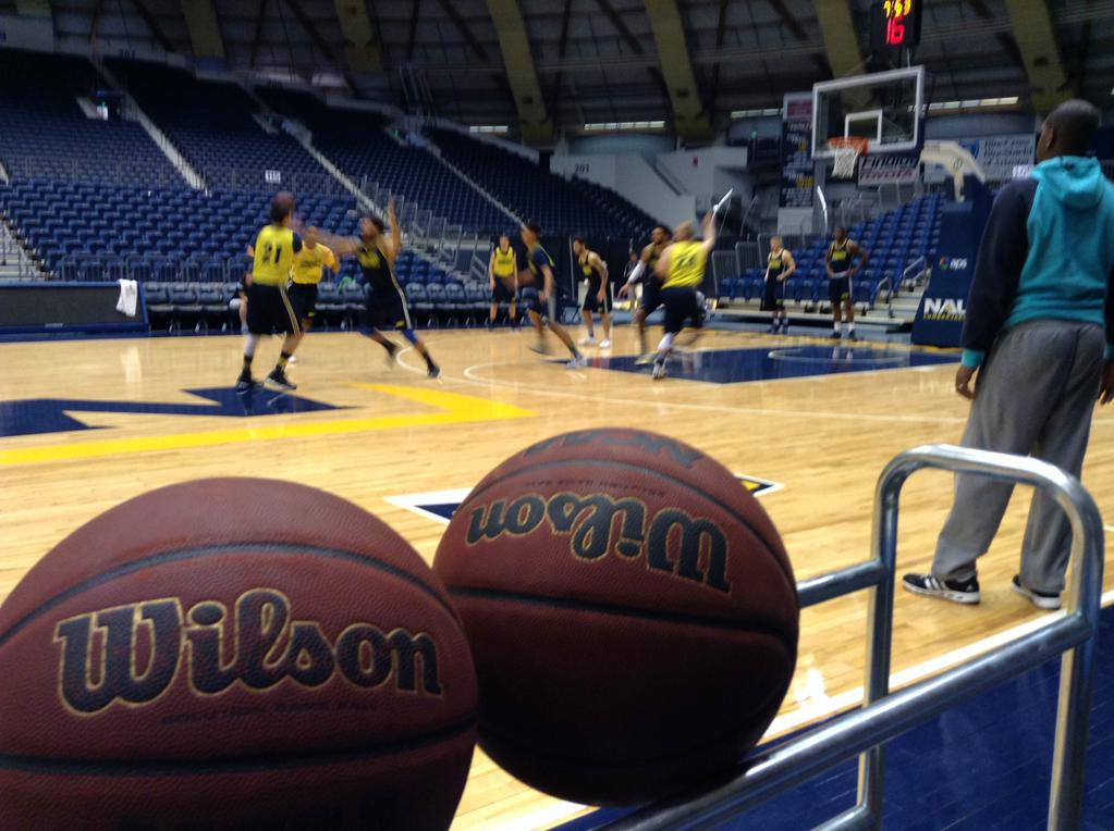 Lumberjacks court