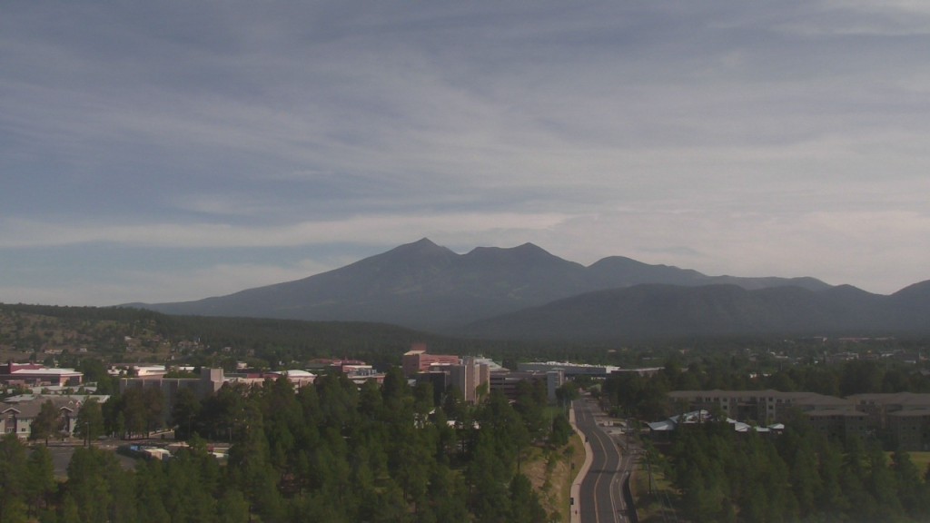 View from the Skydome