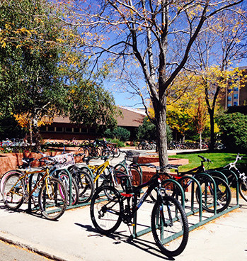 Bikes on campus