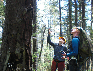 Doctoral students in the forest