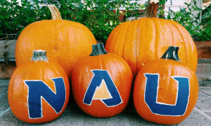NAU pumpkin