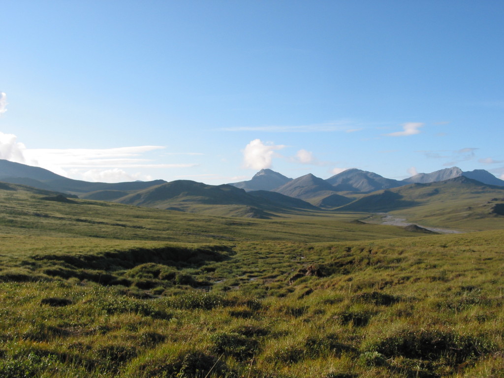 The Alaskan landscape