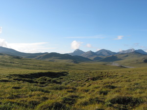 The Alaskan landscape