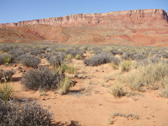 Vermillion Cliffs