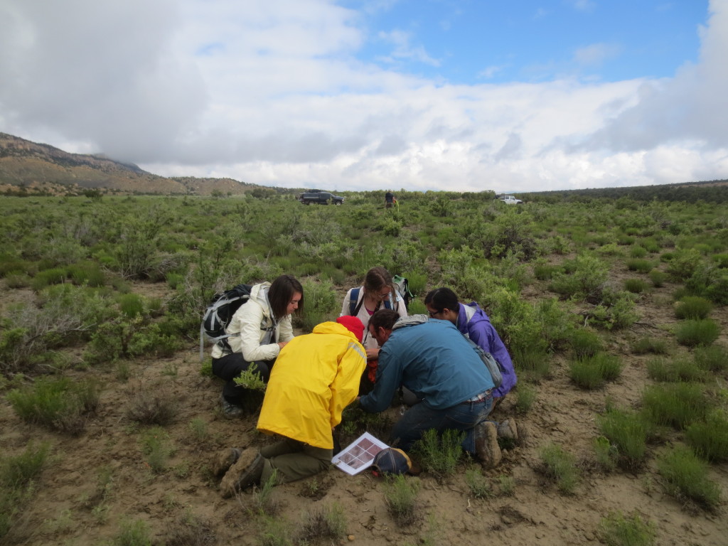 Doris Duke scholars