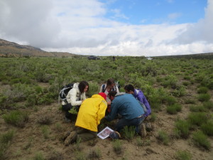 Doris Duke scholars