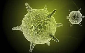 Herpes virus diagram
