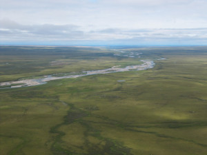 sky view of the landscape