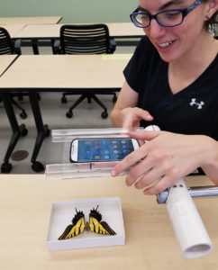 Demonstration of smartphone app