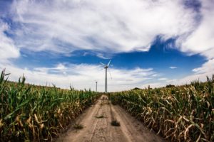 A dirt road through a crop field leads to a wind turbine.