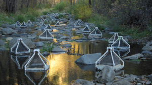 Oak Creek