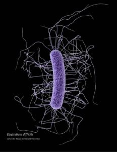 c difficile bacterium