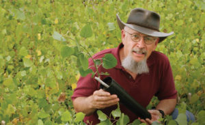 Regents' professor Tom Whitham