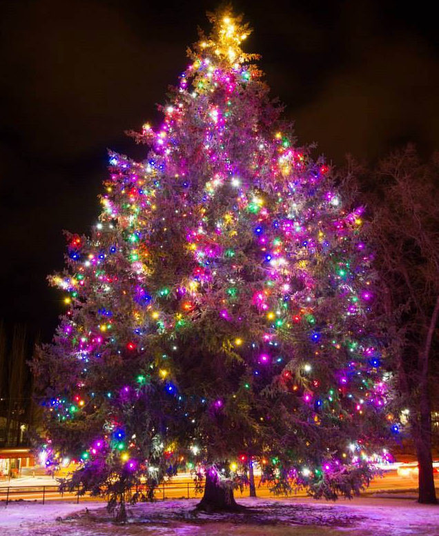 Holiday tree