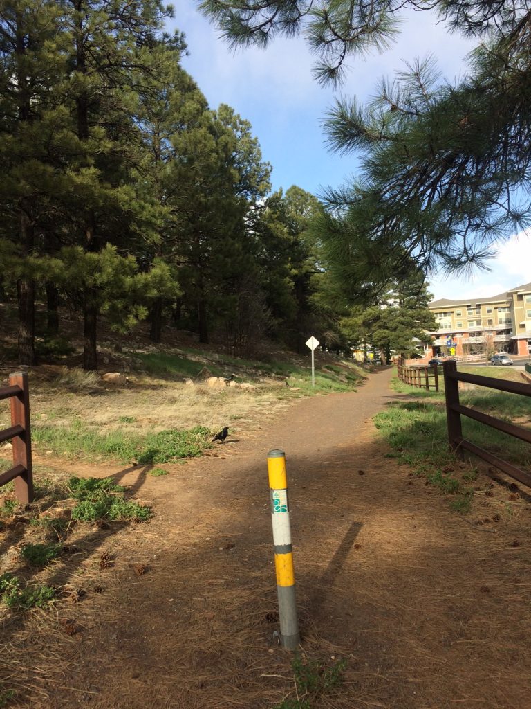 NAU trail
