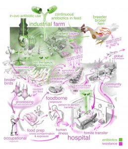 Antibiotic-resistance pathways