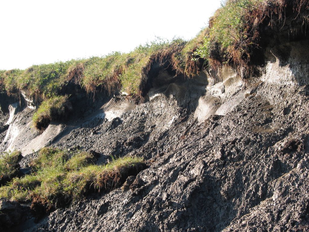 Thawing of Arctic cryosphere
