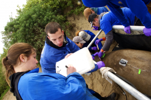 Students get ready to deploy seal