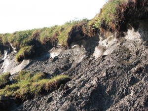 Thawing of Arctic cryosphere