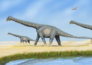 Alamosaurus Dinosaur
