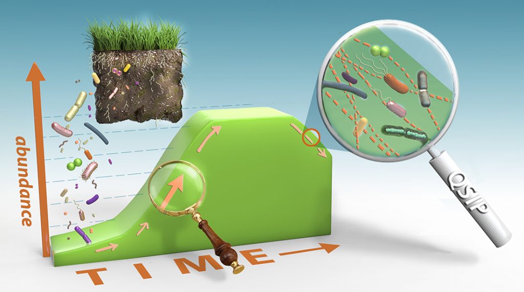 growth of microbial taxa