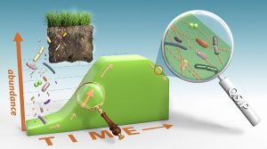 growth of microbial taxa