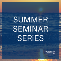 Summer Seminar Series logo placed over image of beach