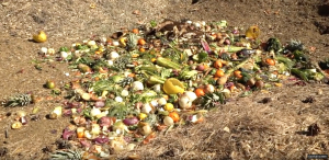 Compost