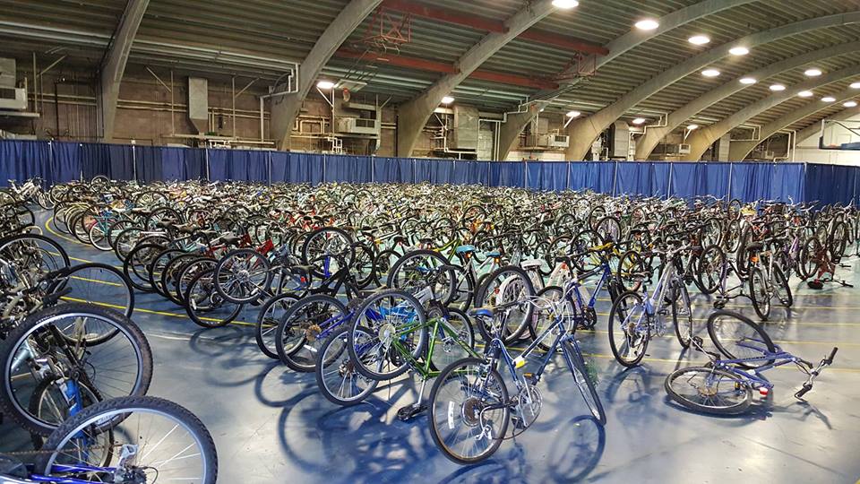Bikes for sale