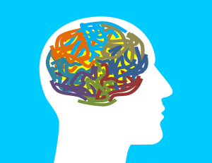 brain image