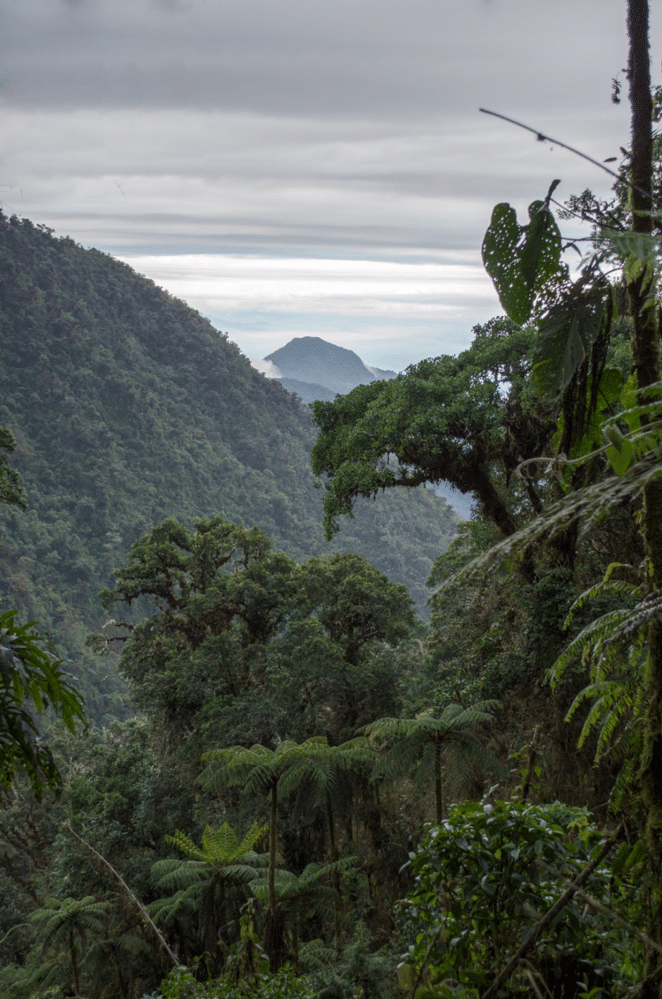 Peru