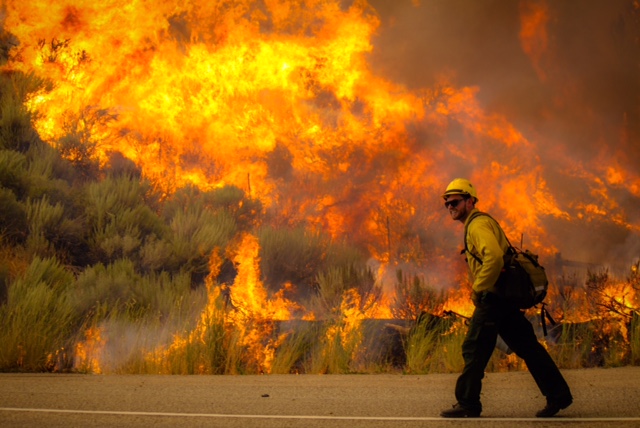 forest fire