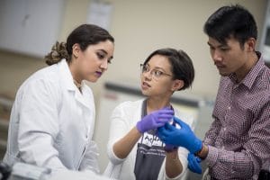 Biology students in Yuma