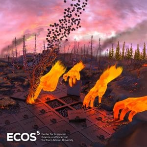 Fire graphic
