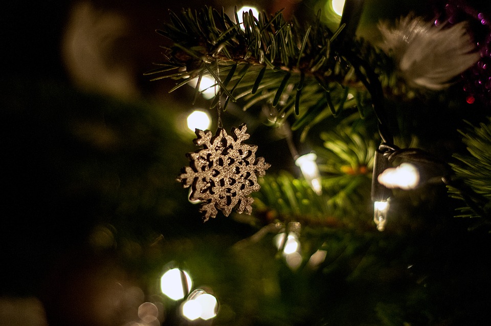 Tree lights