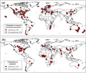 Phosphorous Maps