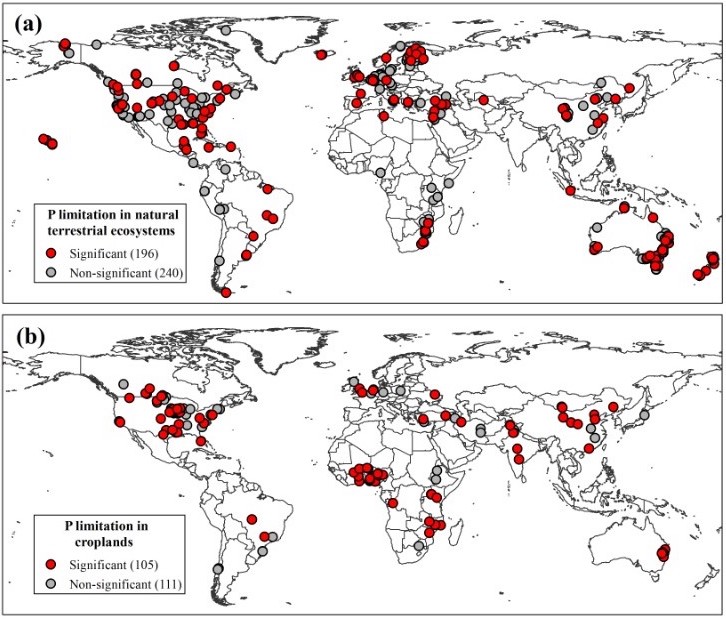 Phosphorous Maps