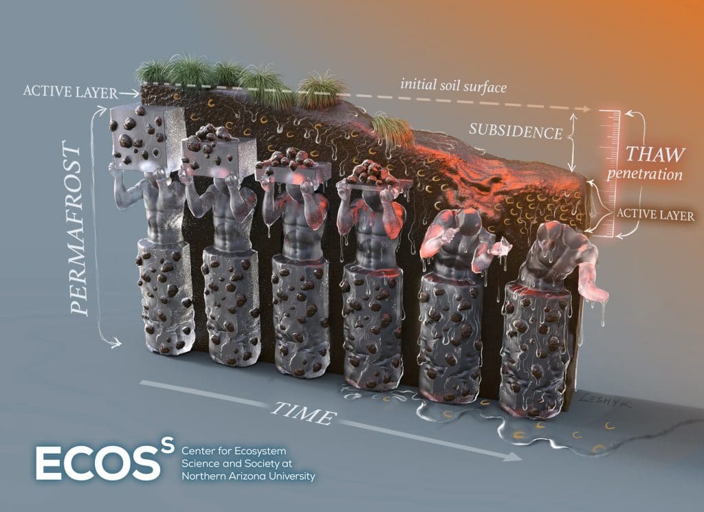 Graphic explaining how subsidence is causing deep thaw and making carbon more vulnerable than scientists previously thought
