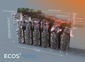 Graphic explaining how subsidence is causing deep thaw and making carbon more vulnerable than scientists previously thought