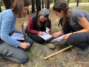 Lichen REU team does research