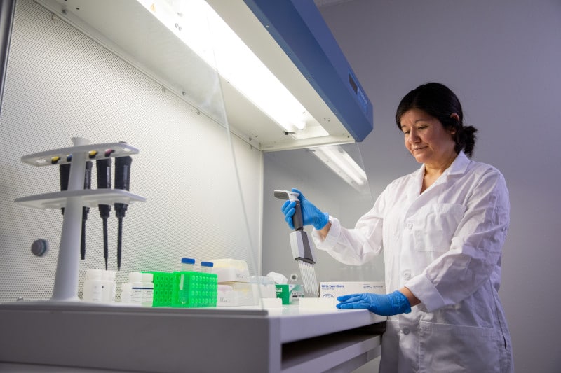 Amanda de la Torre works in her lab.