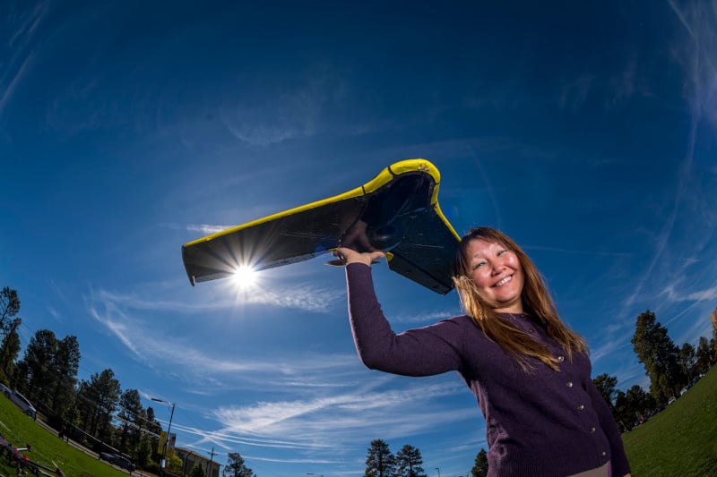 Teki Sankey has an SRP-funded project to measure moisture in the soil as a function of forest thinning and other forest restoration practices.