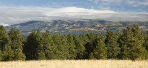 flagstaff-scenic-view