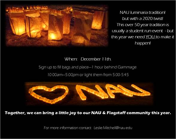 Luminaria flier