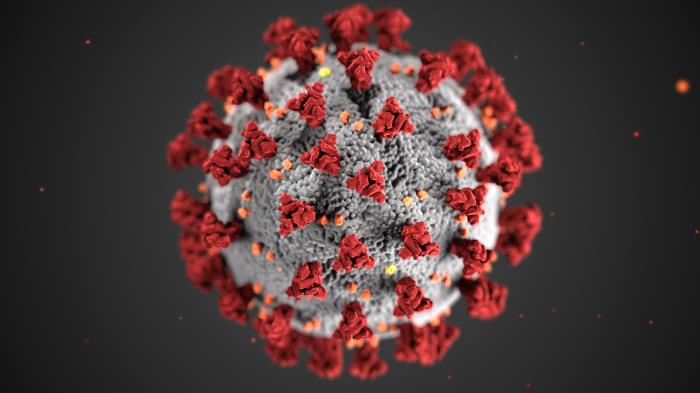 This illustration, created at the Centers for Disease Control and Prevention (CDC), reveals ultrastructural morphology exhibited by coronaviruses.