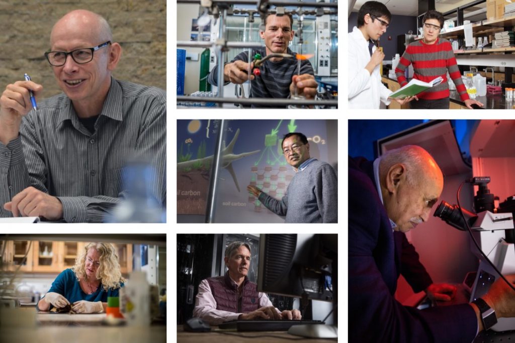 Regents' professors